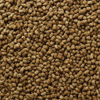 Herbivorous Reptile Food product image 10