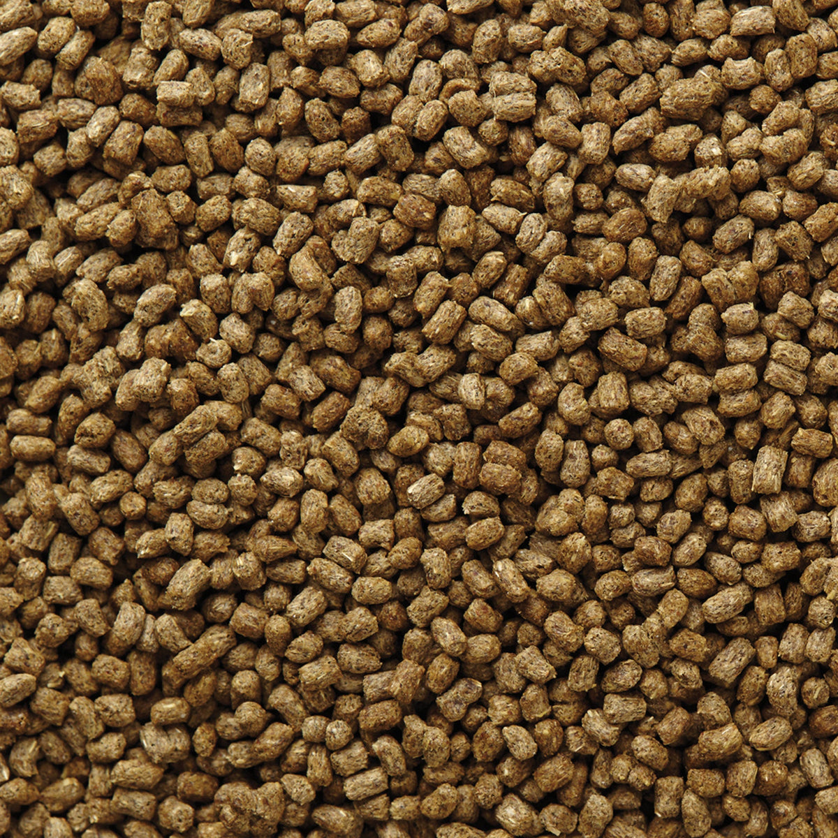 Herbivorous Reptile Food product image 10