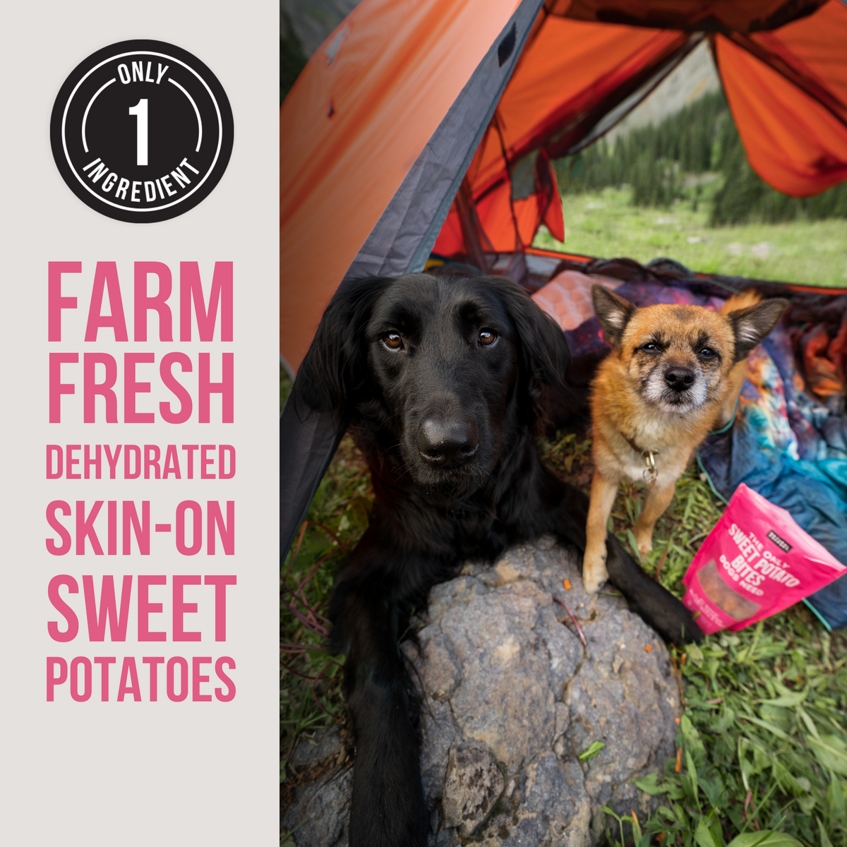 Sweet Potato Dog Treats product image 3
