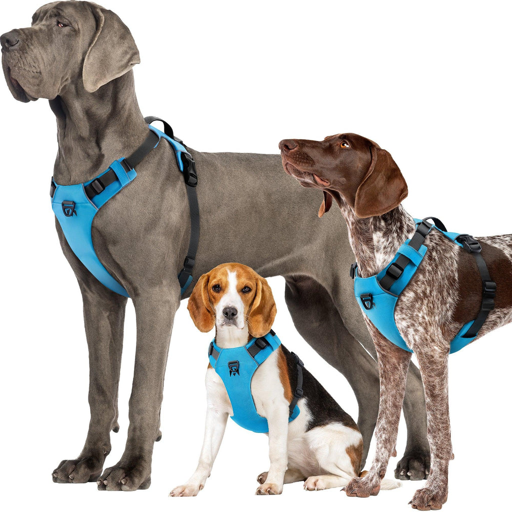 Dog Harnesses product image 4