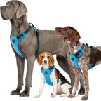 Dog Harnesses product image 4