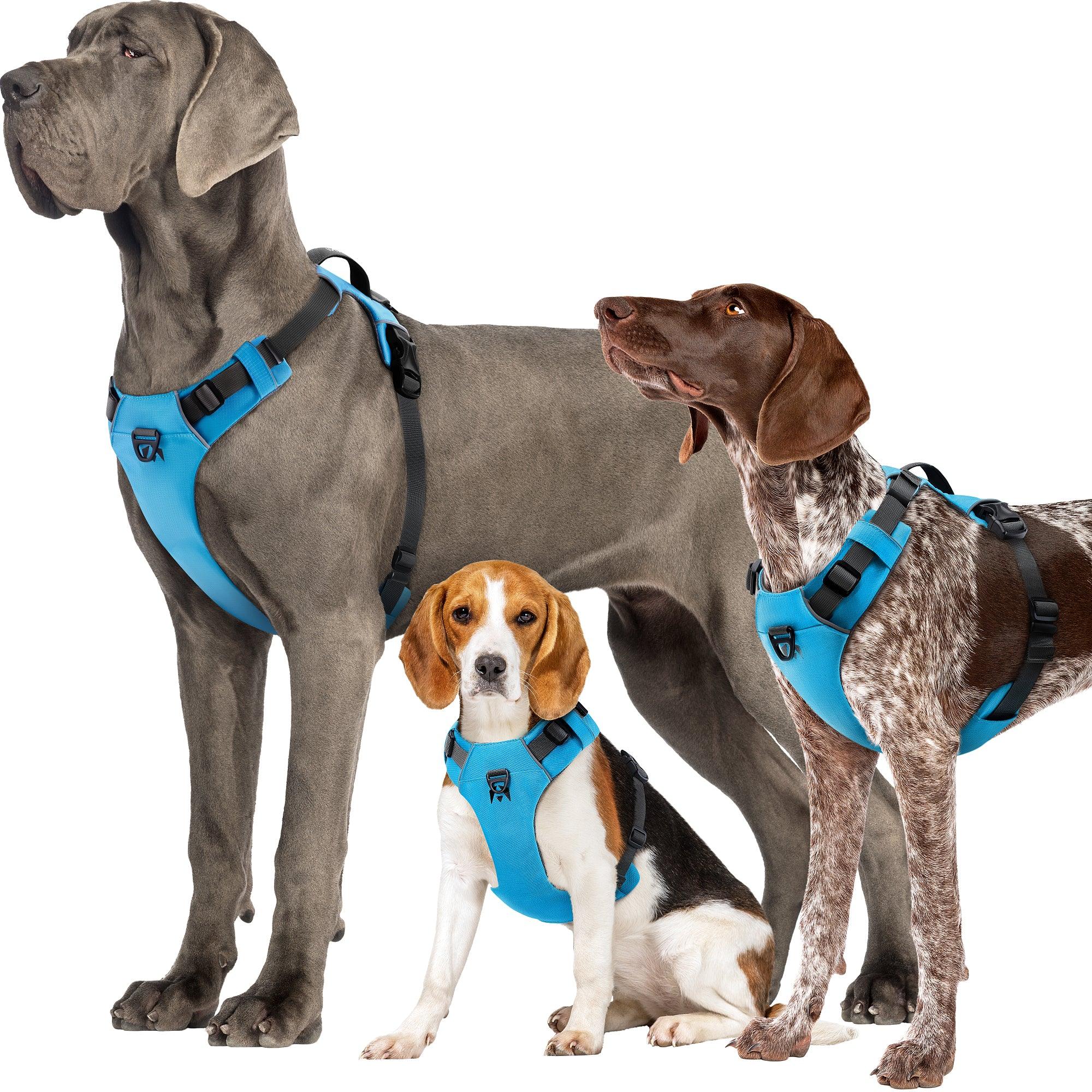 Dog Harnesses product image 4