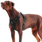 Dog Harnesses product image 5