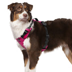 Dog Harnesses product image 6