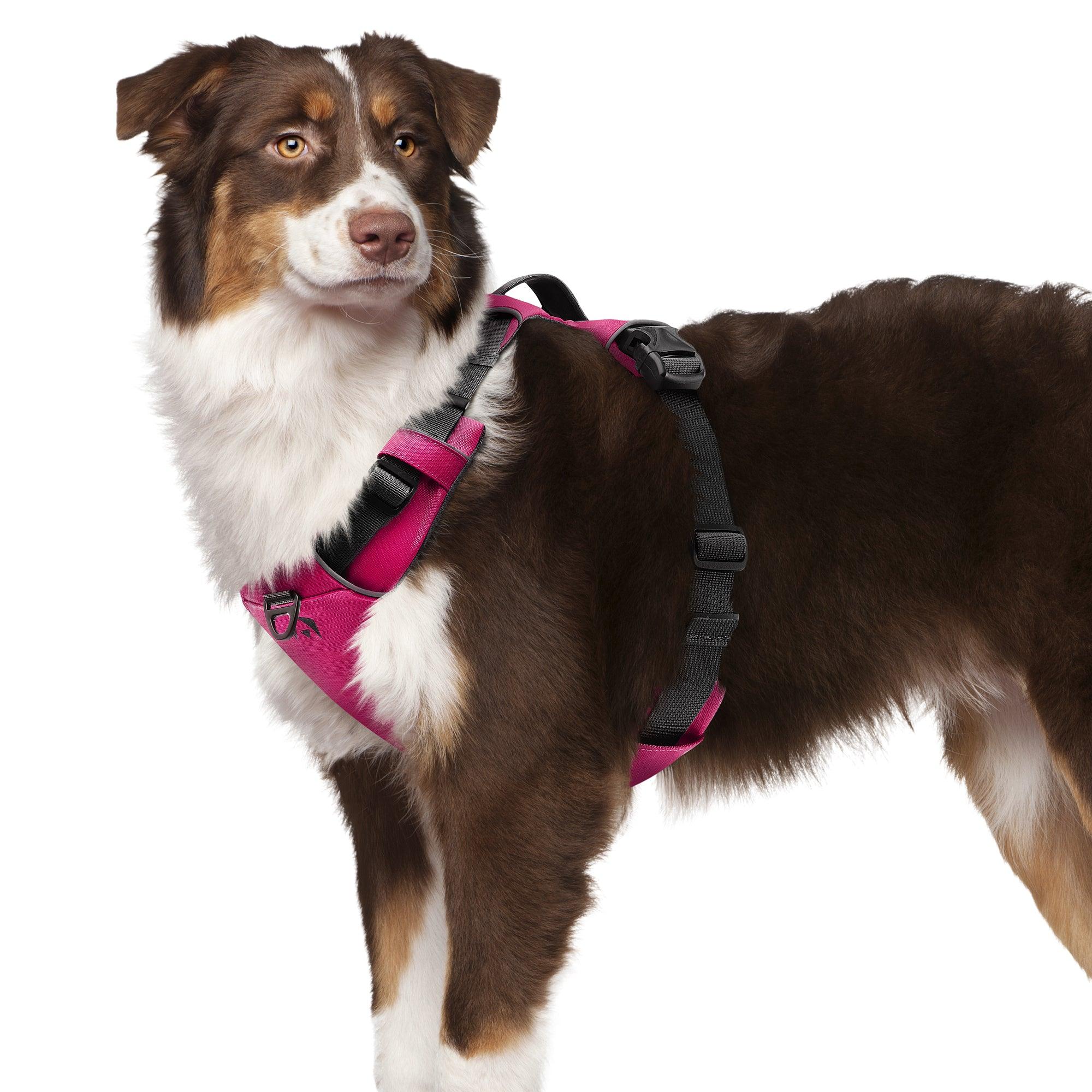 Dog Harnesses product image 6