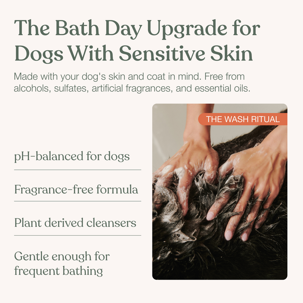 Dog Shampoo & Conditioner Set product image 3