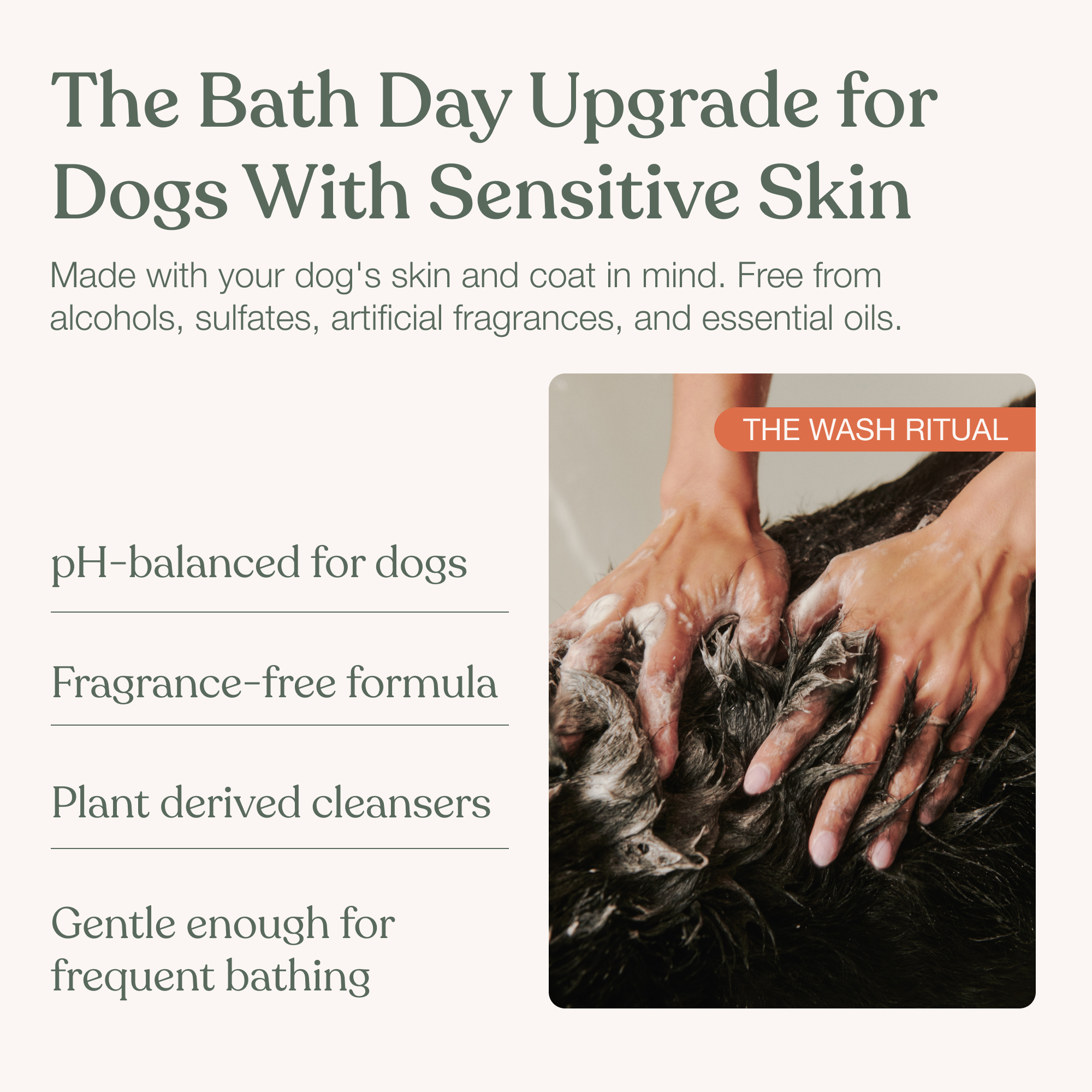 Dog Shampoo & Conditioner Set product image 3