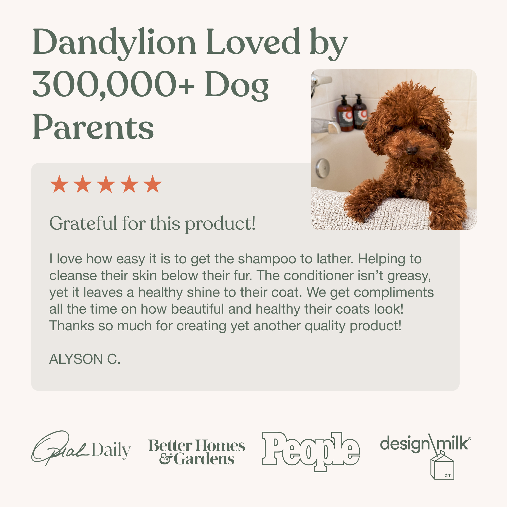 Dog Shampoo & Conditioner Set product image 8