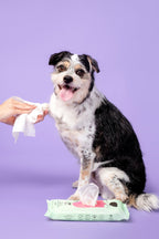 Pet Grooming Wipes product image 3