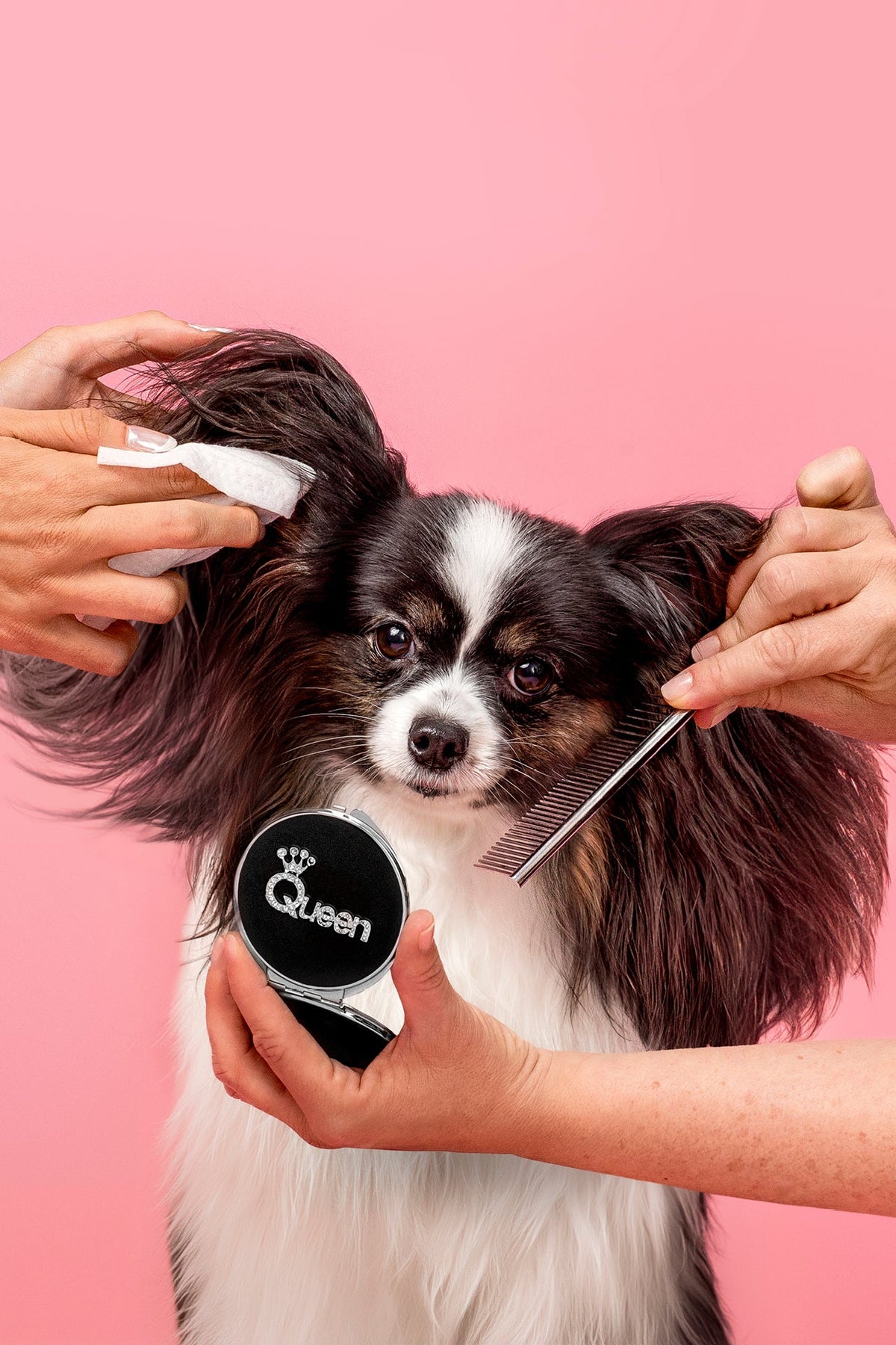 Pet Grooming Wipes product image 6