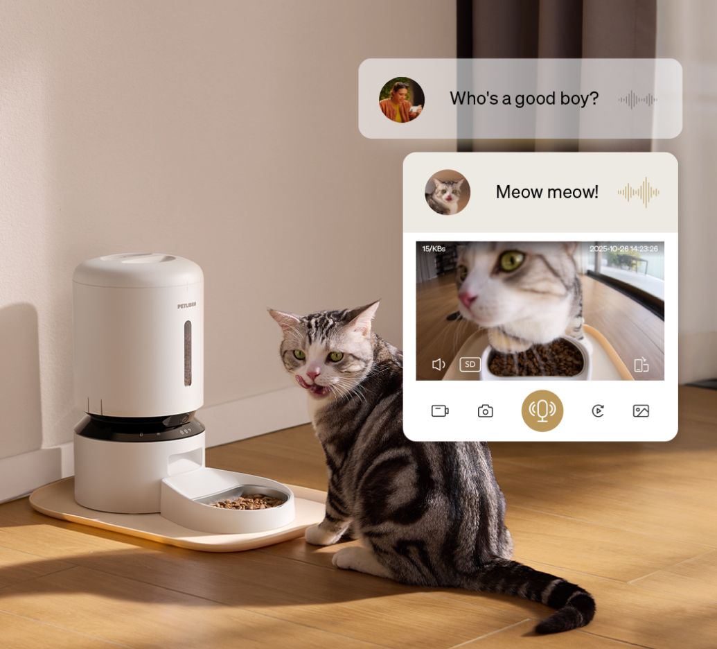 Smart Pet Feeder product image 4