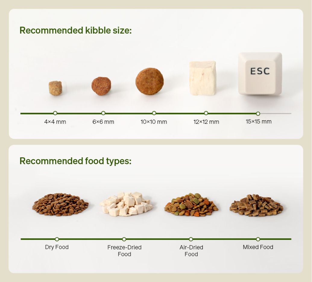 Smart Pet Feeder product image 5