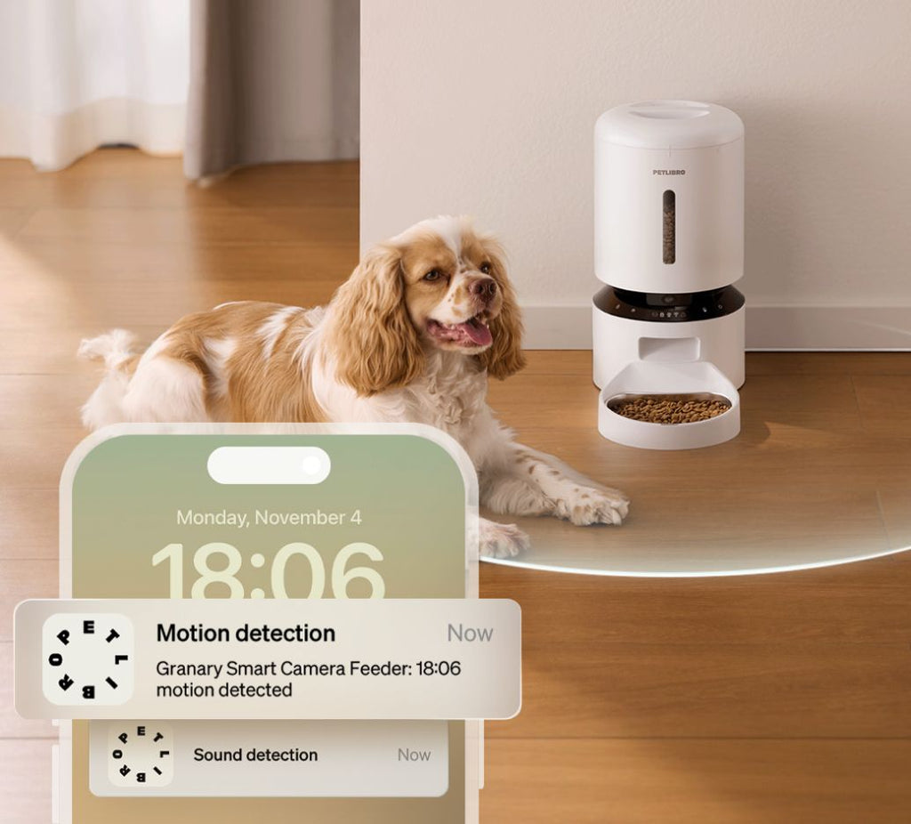 Smart Pet Feeder product image 8