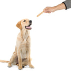 Dog Treat Bundle product image 2
