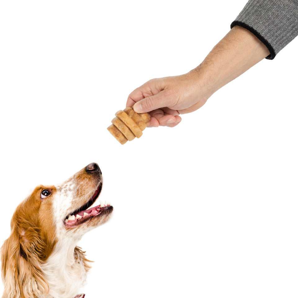 Dog Treat Bundle product image 5