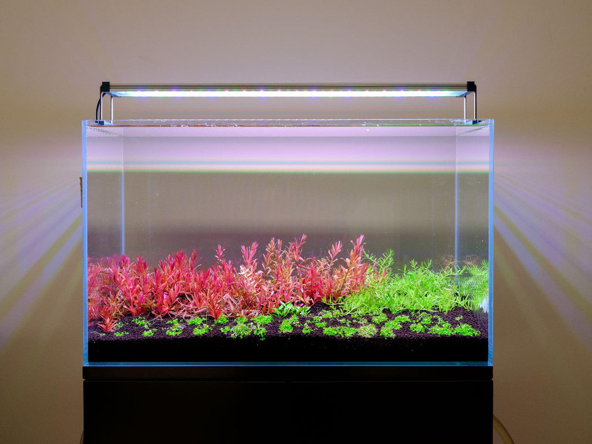 Aquarium LED Light product image 19
