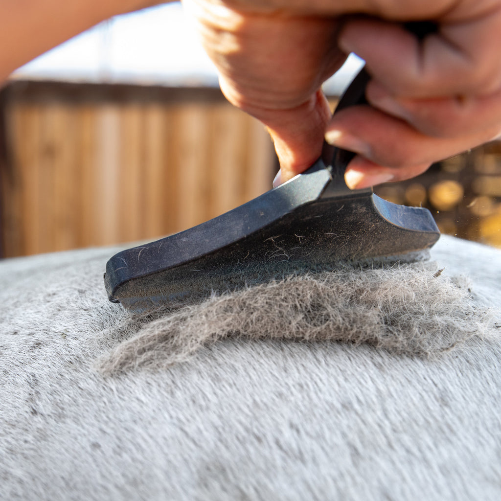 Lightweight Pet Grooming Tool product image 1