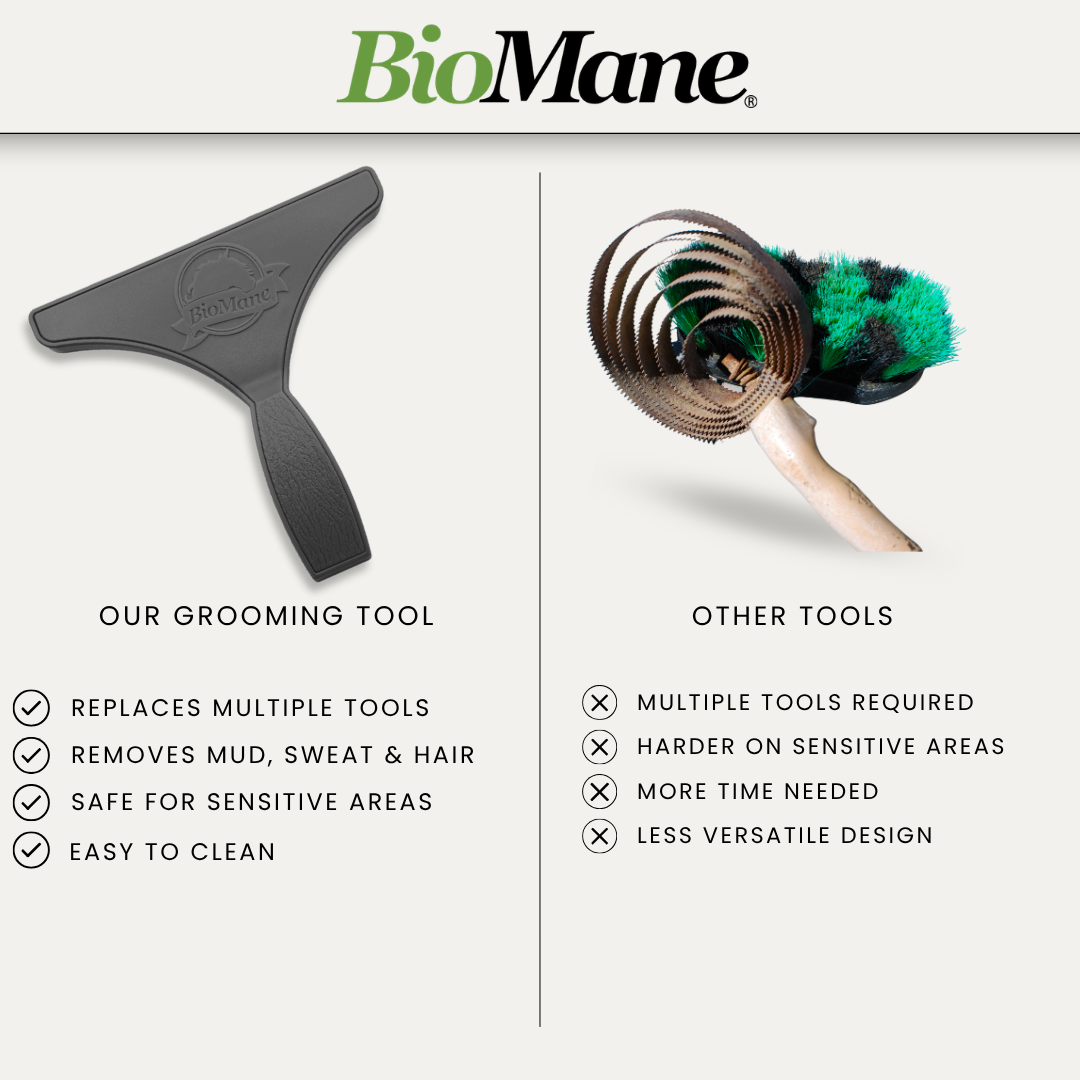 Lightweight Pet Grooming Tool product image 3