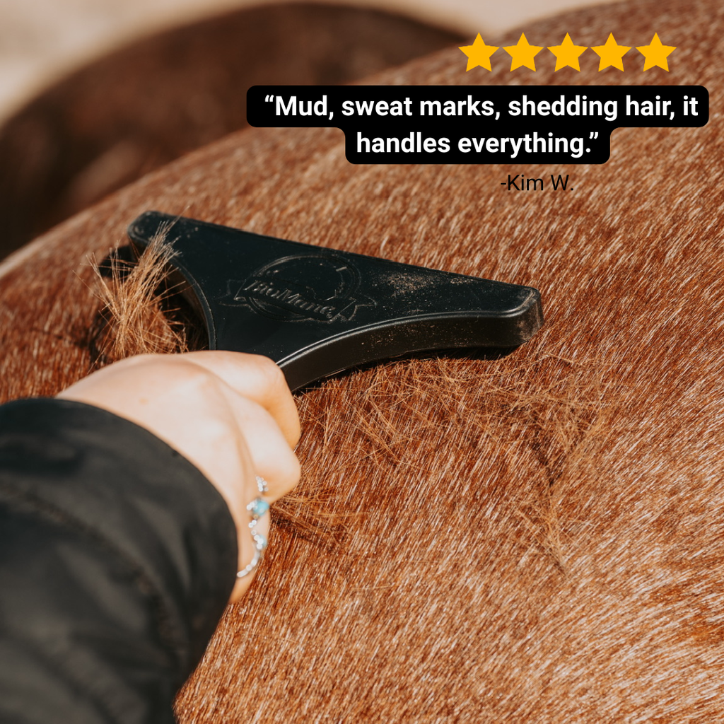 Lightweight Pet Grooming Tool product image 4