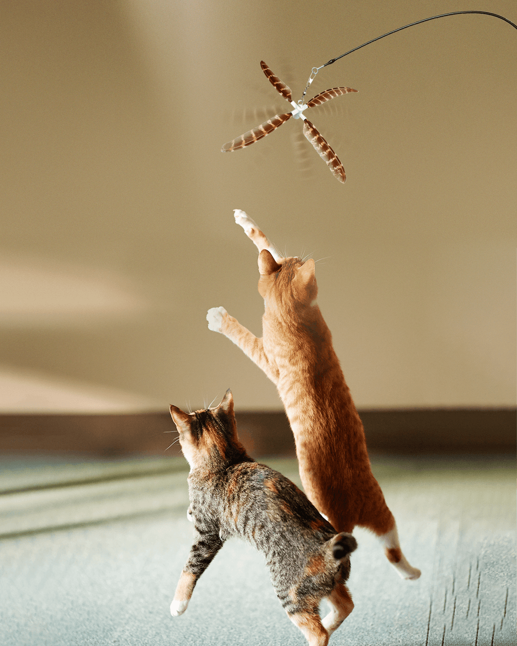 Retractable Cat Wand Toy product image 2