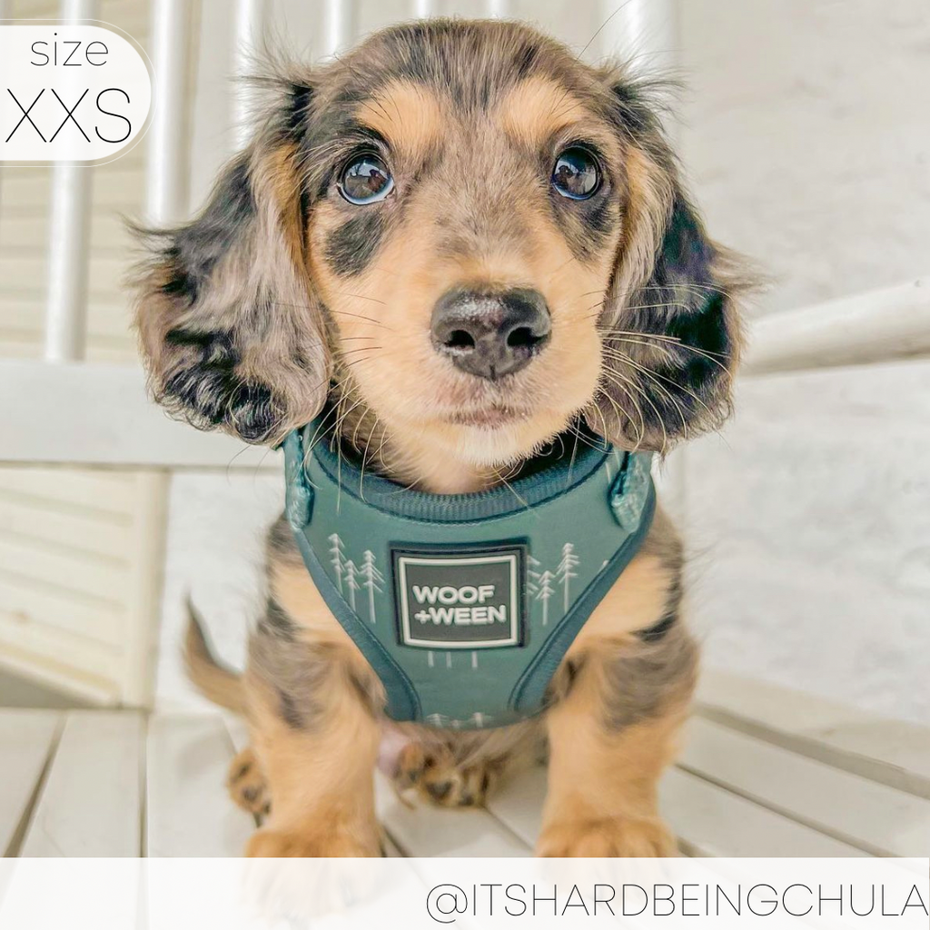 Adjustable Dog Harness product image 6