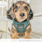 Adjustable Dog Harness product image 6