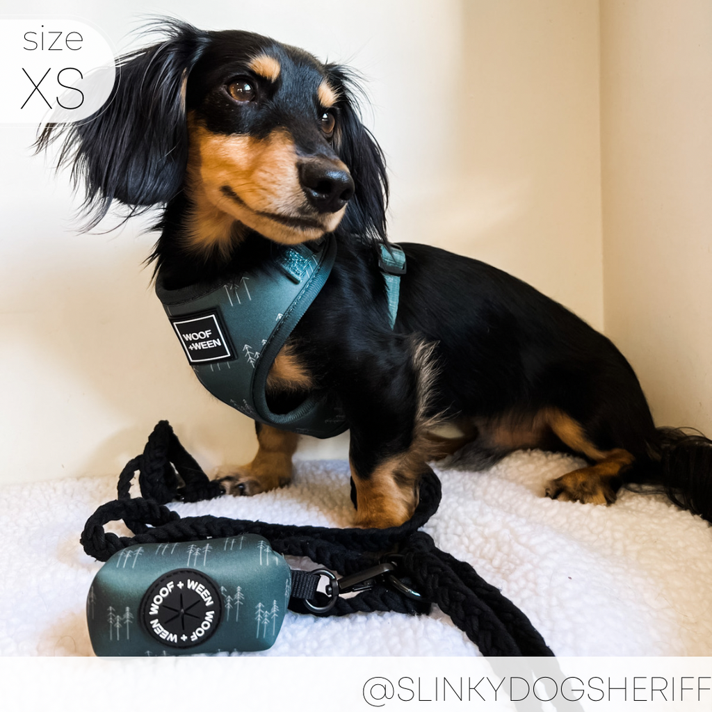 Adjustable Dog Harness product image 8