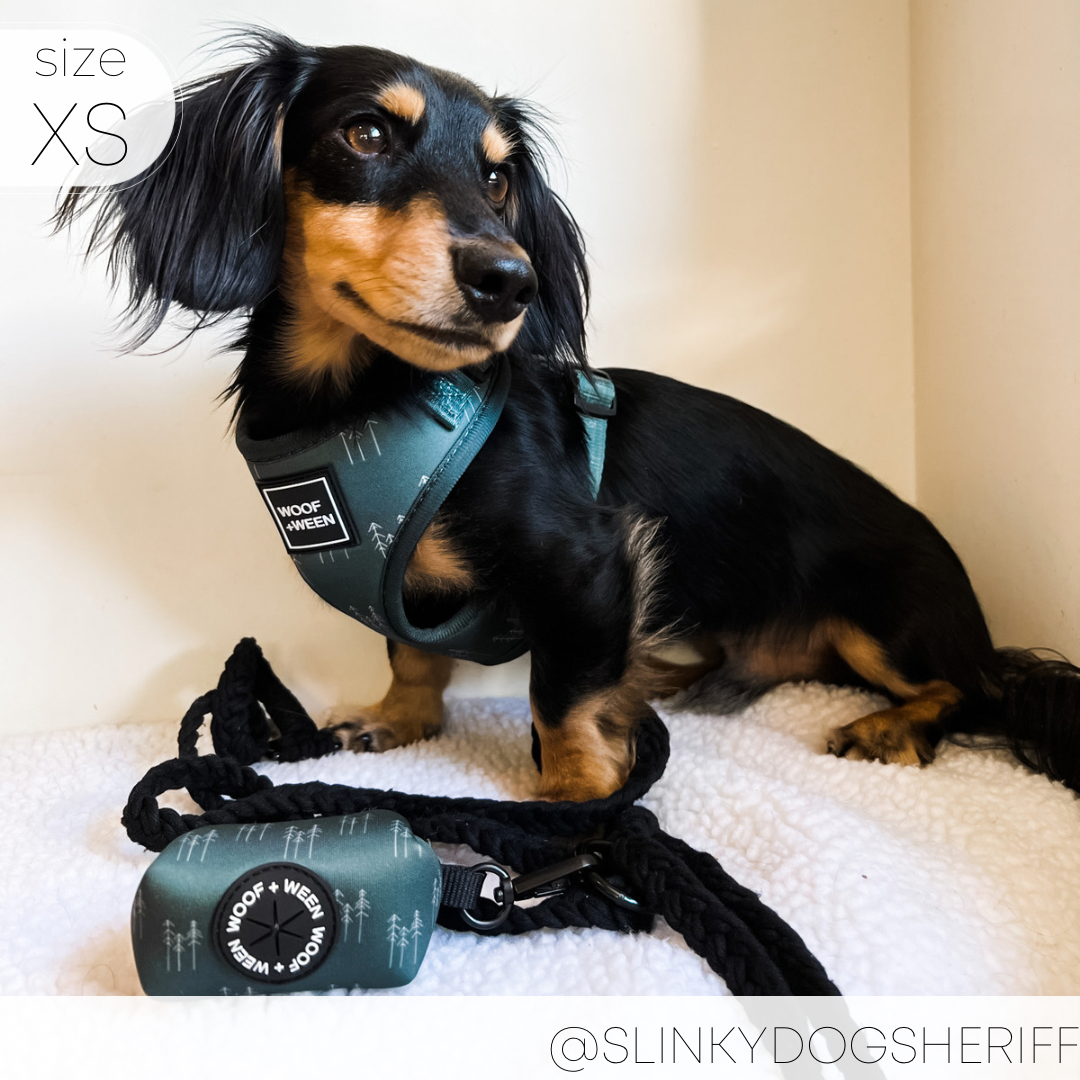 Adjustable Dog Harness product image 8