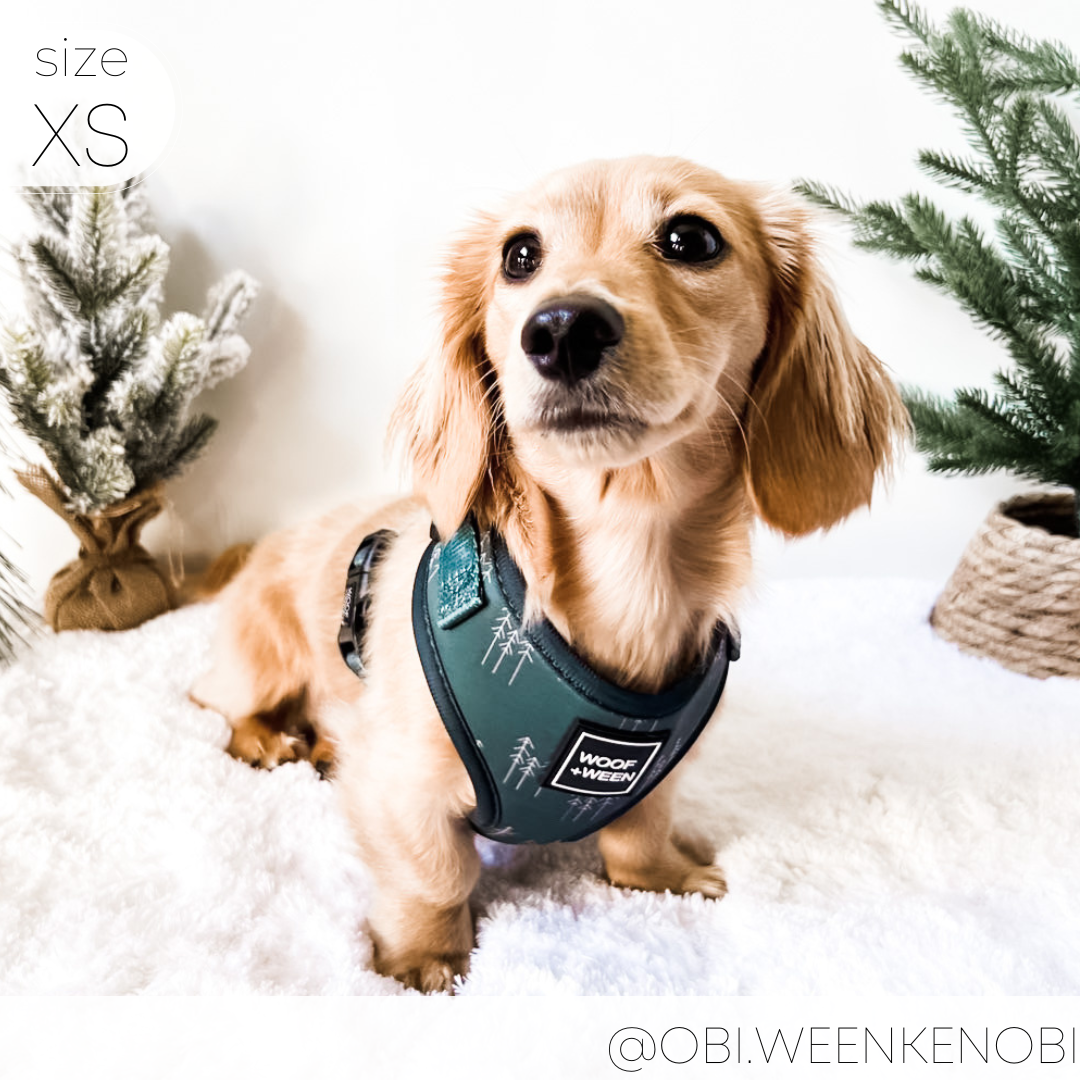 Adjustable Dog Harness product image 9