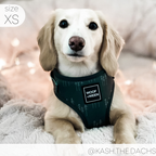 Adjustable Dog Harness product image 10