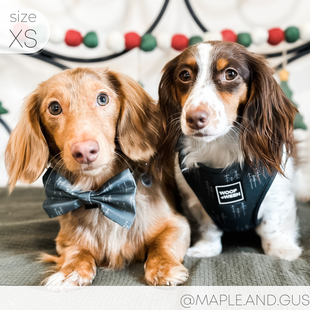 Adjustable Dog Harness product image 11