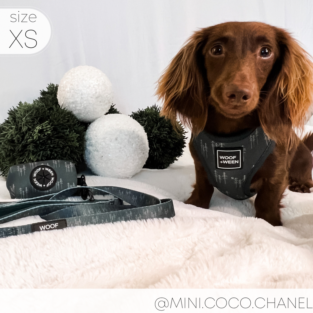 Adjustable Dog Harness product image 12