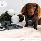 Adjustable Dog Harness product image 12