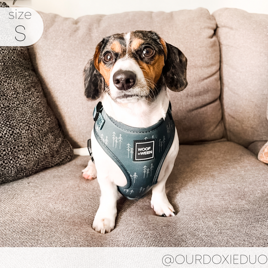Adjustable Dog Harness product image 13