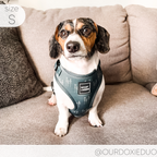 Adjustable Dog Harness product image 13