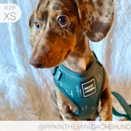 Adjustable Dog Harness product image 14