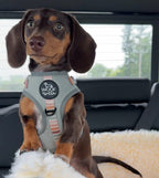 Adjustable Dog Harness product image 4