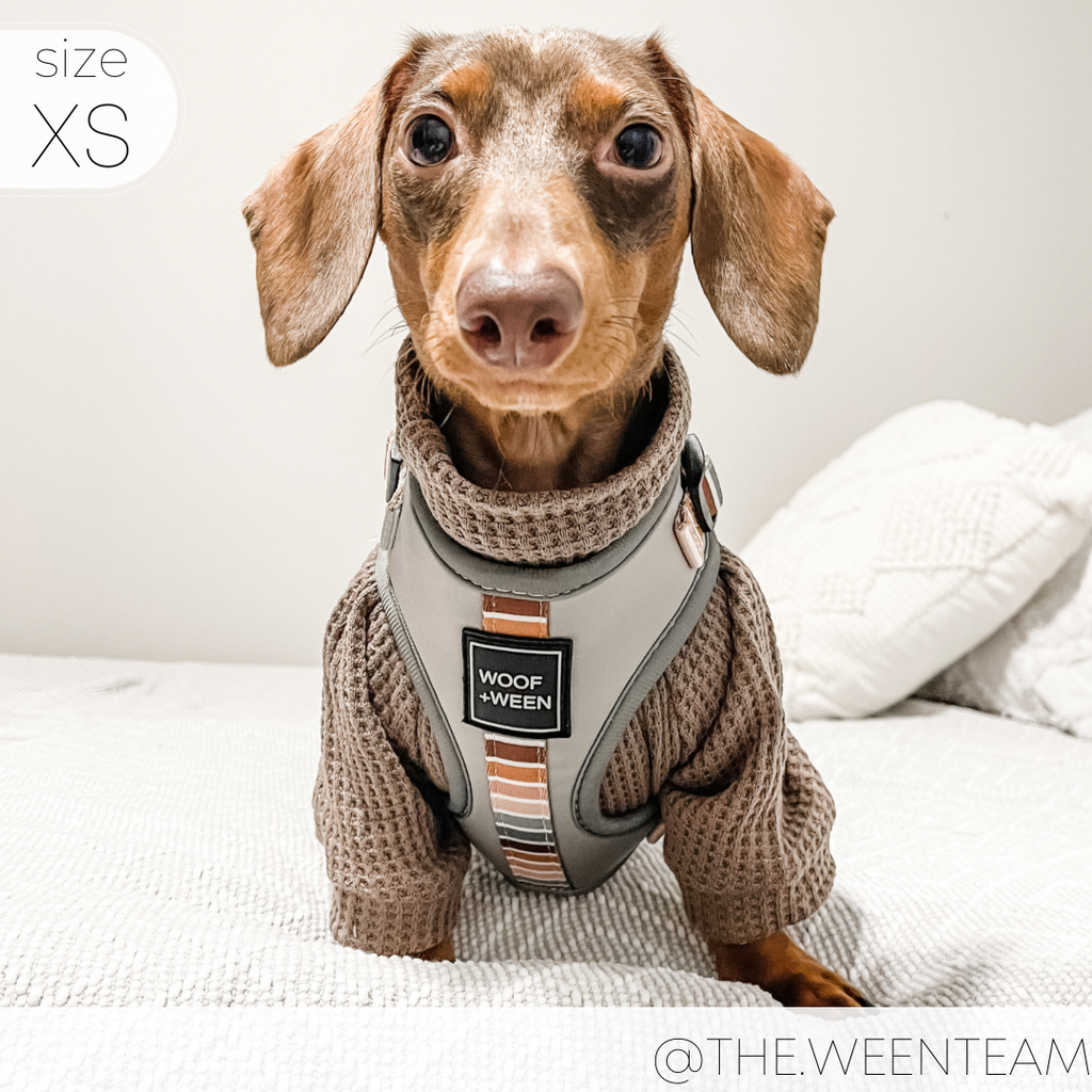 Adjustable Dog Harness product image 5