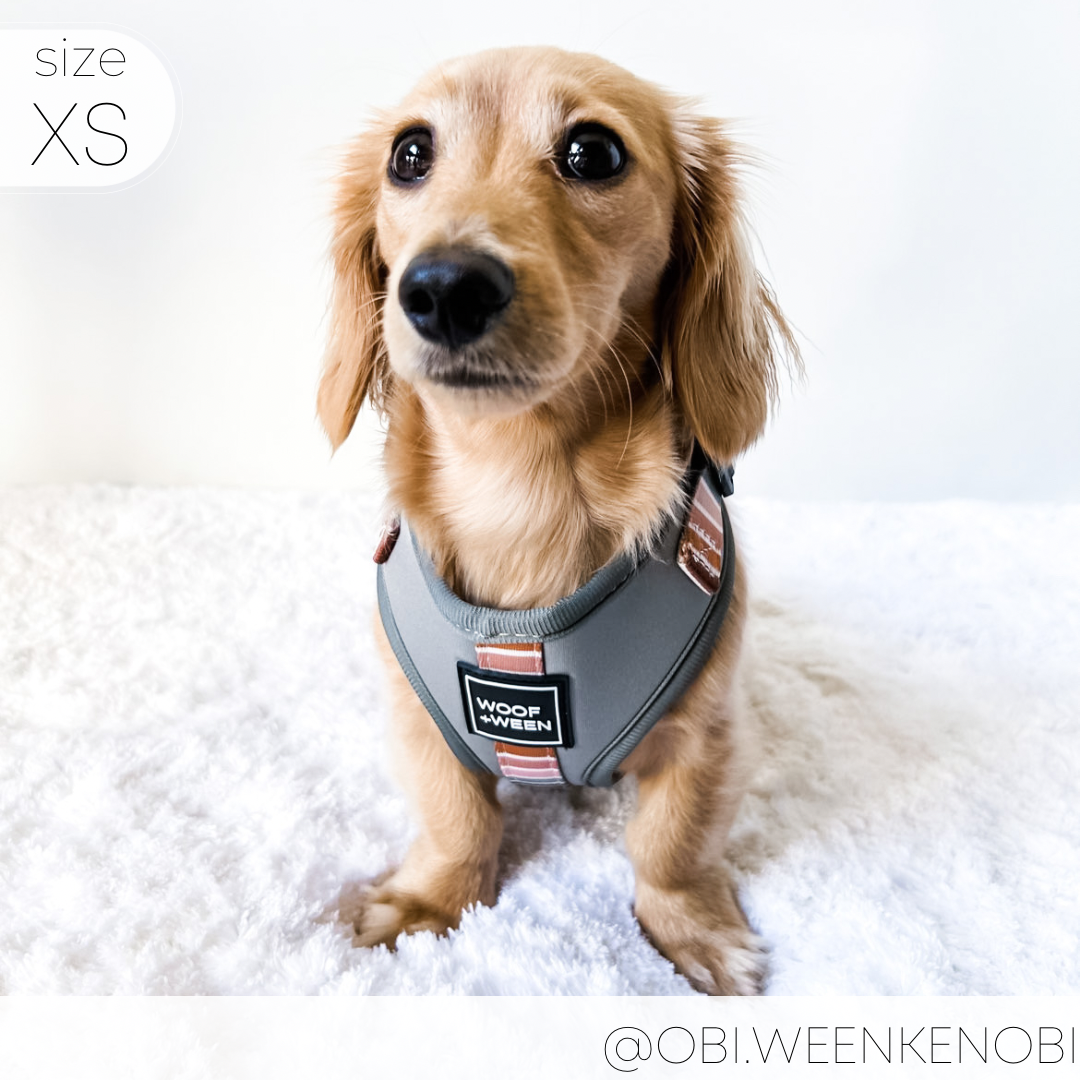 Adjustable Dog Harness product image 6