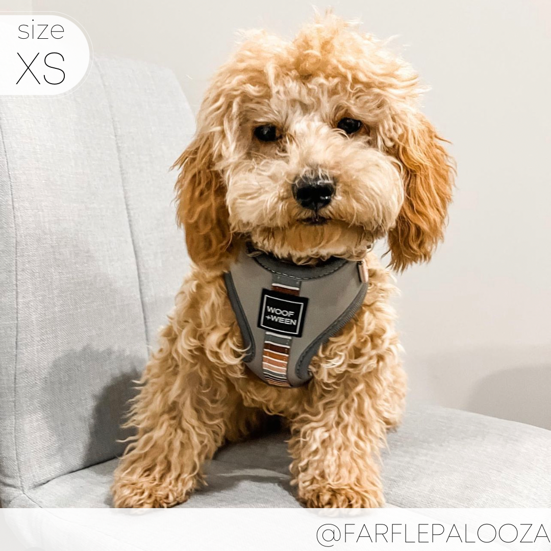 Adjustable Dog Harness product image 7