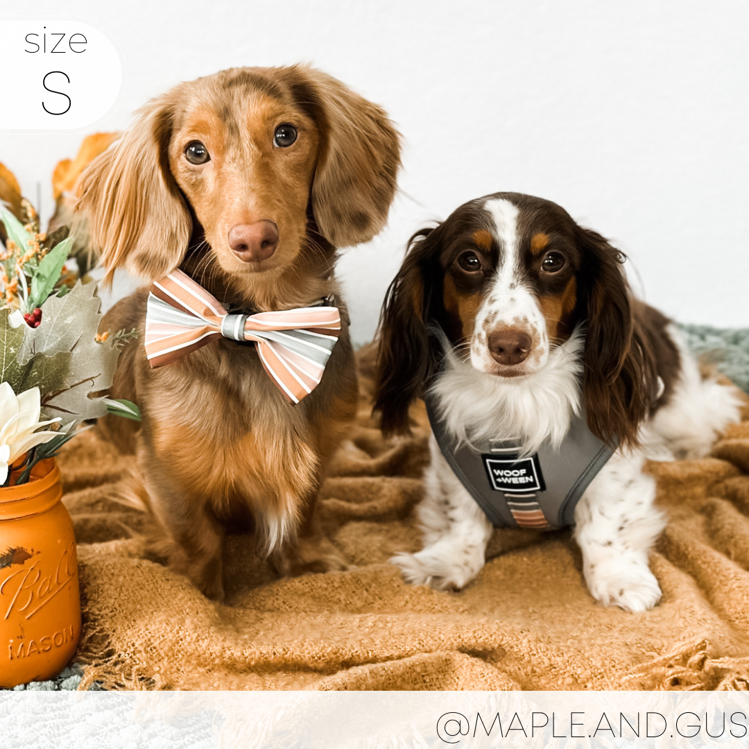 Adjustable Dog Harness product image 8