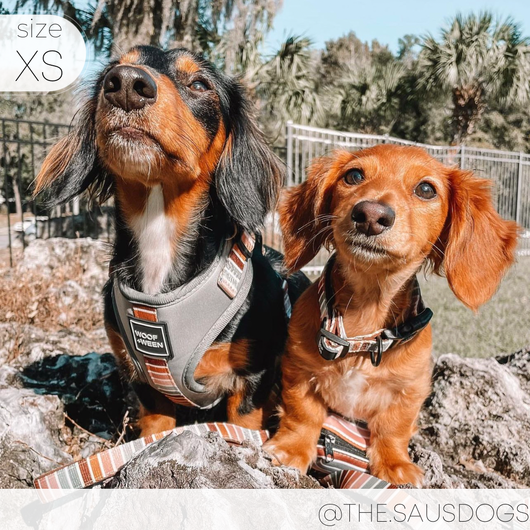 Adjustable Dog Harness product image 9