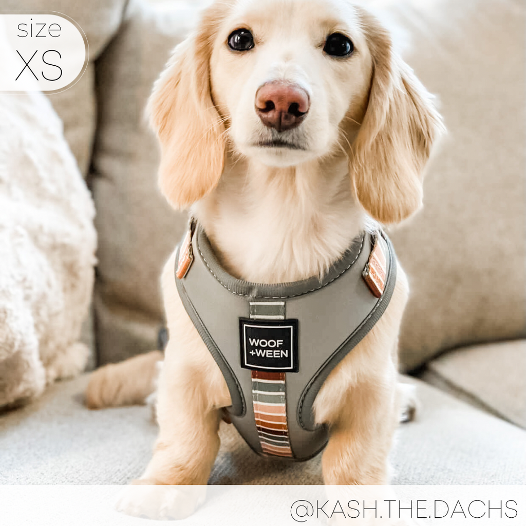 Adjustable Dog Harness product image 10