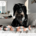 Adjustable Dog Harness product image 11