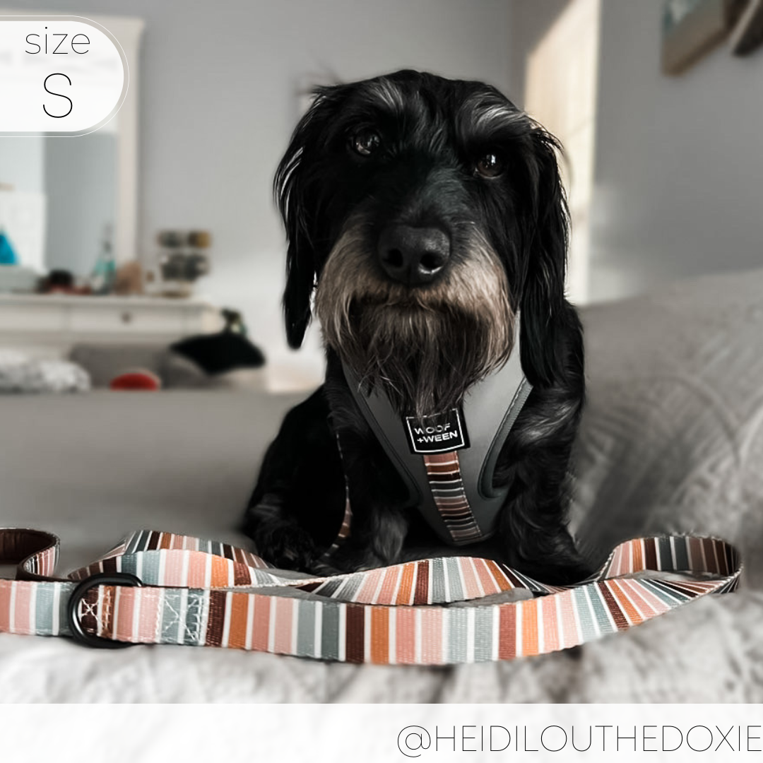 Adjustable Dog Harness product image 11