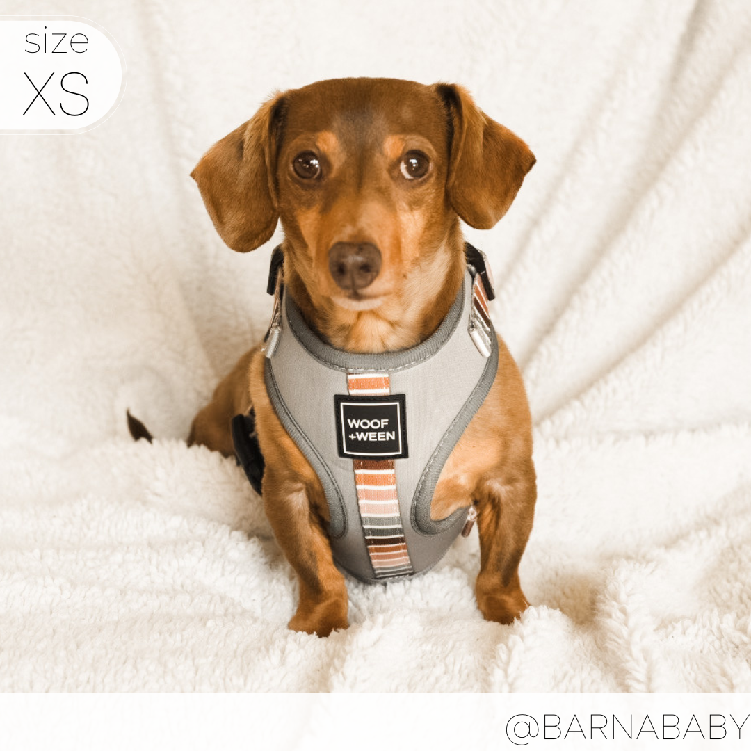 Adjustable Dog Harness product image 12