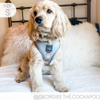 Adjustable Dog Harness product image 13