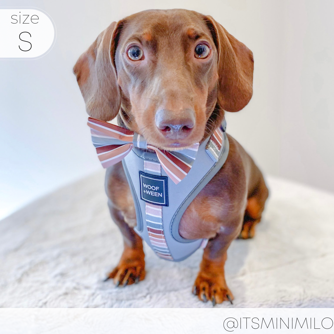 Adjustable Dog Harness product image 15