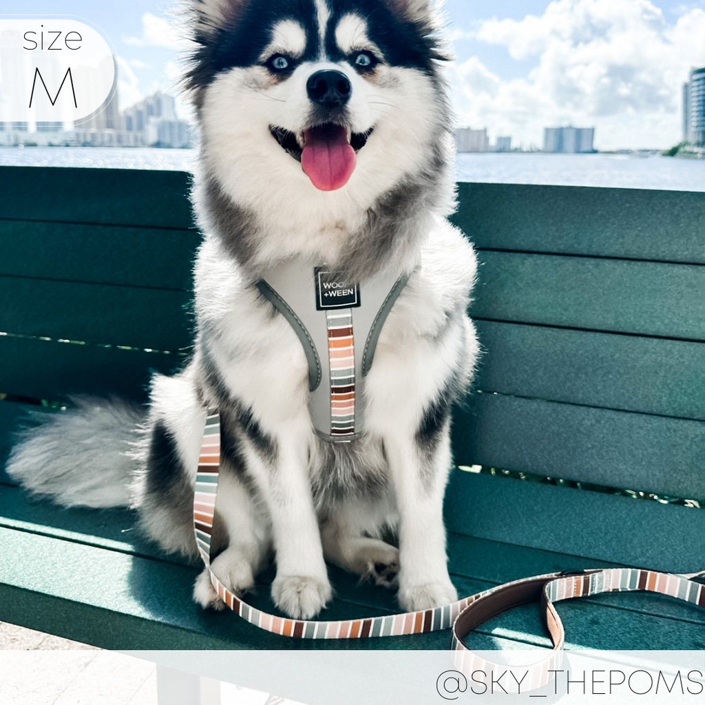 Adjustable Dog Harness product image 16