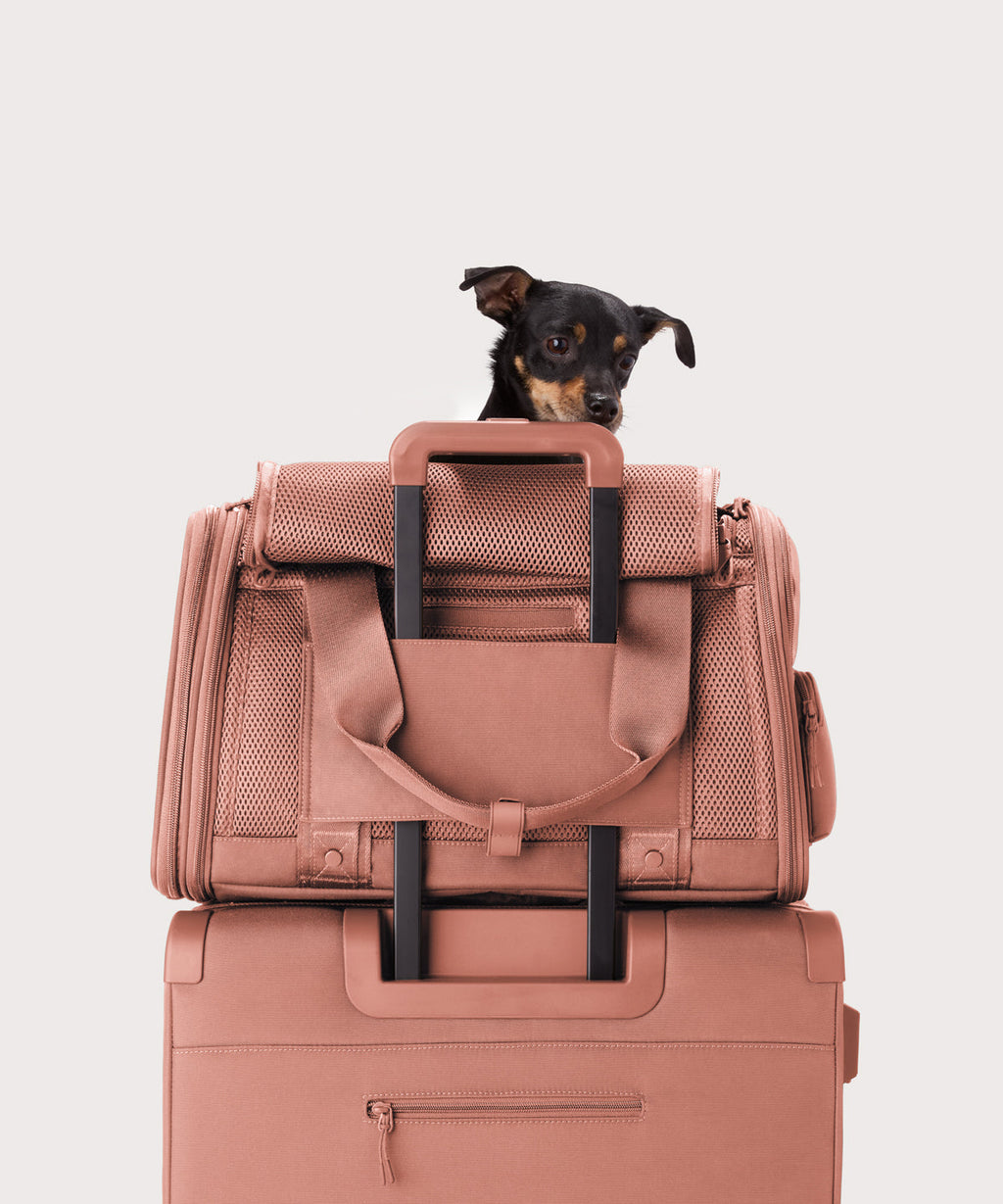 Large Soft-Sided Pet Carrier product image 7